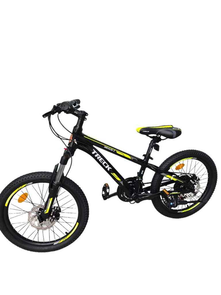 TRECK 20'' BIKE 