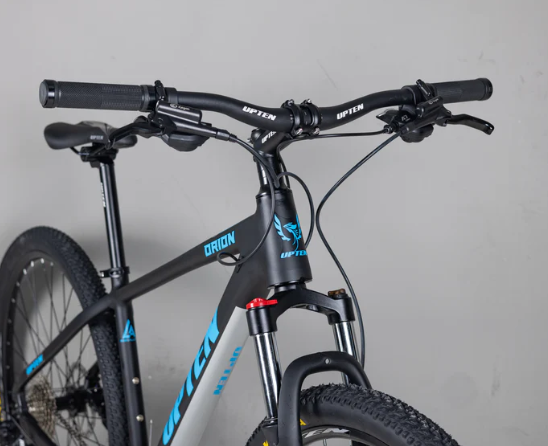 UPTEN ORION ALLOY 20 SPEED BIEK 29'' 