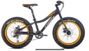 TRINX BIKE 20'' FAT T100