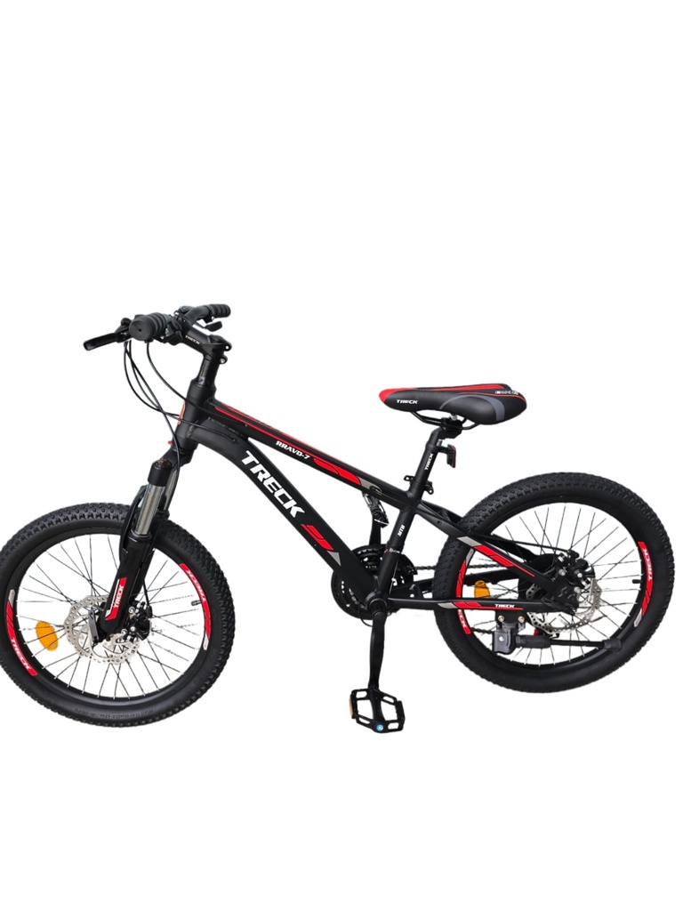 TRECK 20'' BIKE 