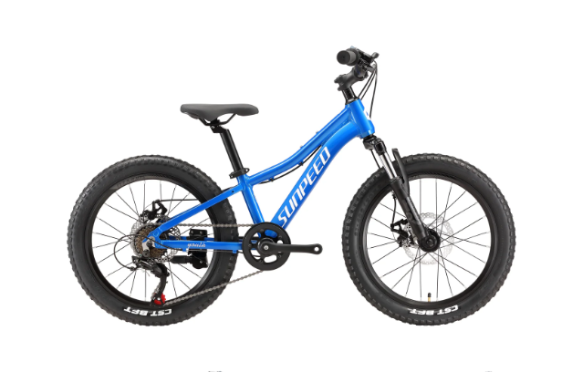 Sunpeed Youth 20'' Alloy Bike