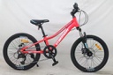 BICYCLE GMINDI 20'' ALLOY 7SP G-22-1