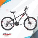 BICYCLE GMINDI ALLOY 24'' 24SPEED G-22