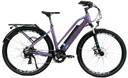 ALVAS E-BIKE RANGER 820L (29'')