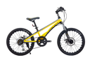 LANQ Jerush 20 inch Kids Bike Magnesium Alloy