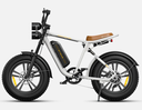 ENGWE M20 EBIKE 