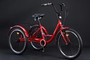 TRICYCLE SHARK BIKE 24" 